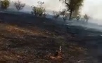M’Bagne : Un feu de brousse dévore environ 5 km entre N’Diawaldi et Thiooga