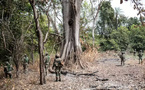 Au Sénégal, un militaire blessé et un autre porté disparu lors d’une opération en Casamance