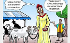 Tabaski : Quand les femmes prennent le mouton par les cornes