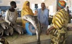 La Mauritanie annonce un plan d’urgence face à la hausse du coût de la vie