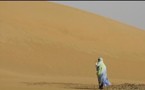 Environnement :  Le Sahara devenu un désert après une lente transition