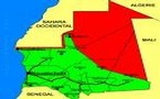 Spéciale Mauritanie de Faandu Almuudo avec Mamadou Ly sur seneweb.com  demain,dimanche à partir de 19h,heure de Paris.