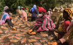 Mauritanie – De la pirogue à l’assiette : ces femmes qui maintiennent à flot la filière poissons