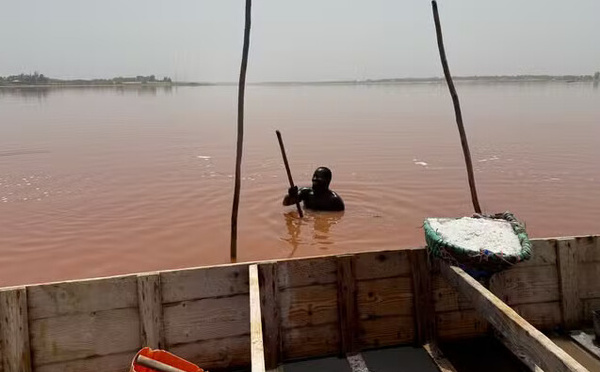 Au Sénégal, le lac Rose reprend des couleurs, son activité économique aussi