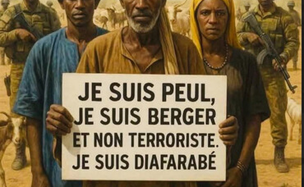 Deux poids, deux mesures : l’hypocrisie à la mauritanienne / Par SY Mamadou