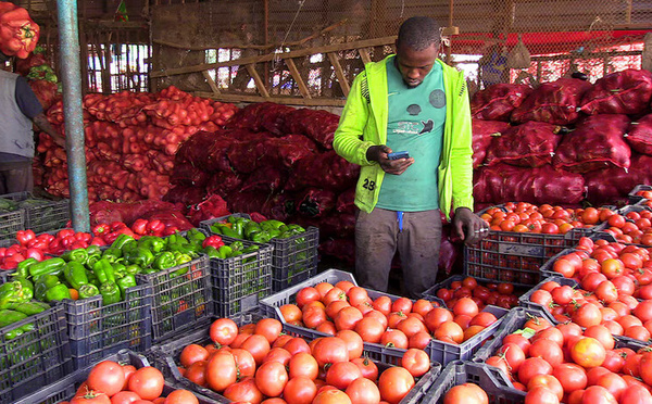 Nouakchott : le thermomètre dégringole, le prix des légumes aussi