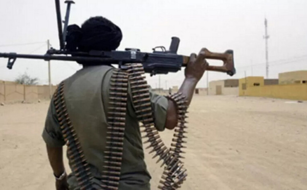 L’armée malienne accusée d’avoir tué sept civils dans la zone frontalière avec la Mauritanie et le Sénégal