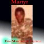 Dia Mamadou Tidiane Harouna.JPG Mat : 80800 Dia Mamadou Tidiane Harouna.JPG Mat : 80800